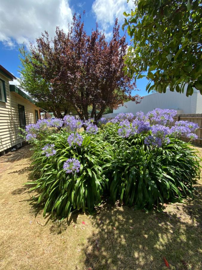 Delightful And Charming Rose Cottage Kilmore Buitenkant foto